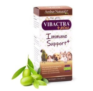 amber naturalz - vibactra plus immune support plus - an antioxidant enriched formula helps fight free radicals, supports healthy yeast balance, maintains healthy gut flora, supports upper respiratory health and oral health - 1 oz