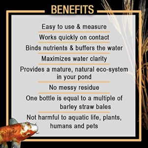 MICROBE-LIFT MLCBSE1L Concentrated Barley Straw Extract Conditioner for Ponds and Outdoor Water Garden, Safe for Live Koi Fish, Plants, and Decorations, 32 Ounces