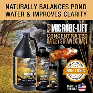 MICROBE-LIFT MLCBSE1L Concentrated Barley Straw Extract Conditioner for Ponds and Outdoor Water Garden, Safe for Live Koi Fish, Plants, and Decorations, 32 Ounces