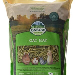 Oxbow Oat Hay 15 Ounce Bag For Small Pets