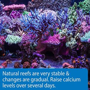 API MARINE CALCIUM Reef Aquarium Calcium Solution 16-Ounce Bottle