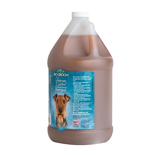 Bio-Groom Bronze Lustre Enhancer Pet Shampoo, 1-Gallon