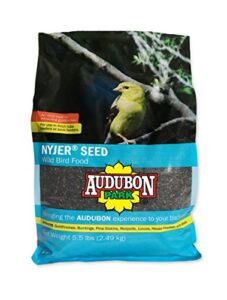 audubon park 12222 nyjer/thistle seed wild bird food, 5.5-pounds