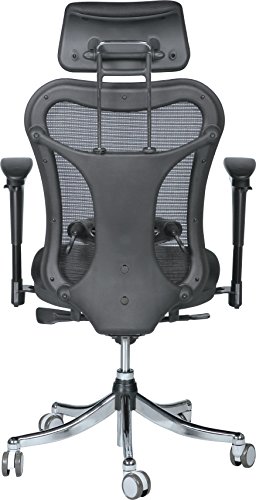 Balt Ergo EX Executive Mesh Office Chair, Ergonomically Adjustable, 28-Inch by 24-Inch by 51-Inch, Black (34434)