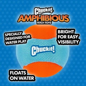 ChuckIt! Amphibious Bumper Fetch and Float Dog Toy, Medium (Colors Vary)