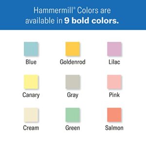 Hammermill Colored Paper, 20lb Pink Printer Paper, 8-1/2 x 11- 1 Ream (500 Sheets) - Made in the USA, Pastel Paper, 103382R