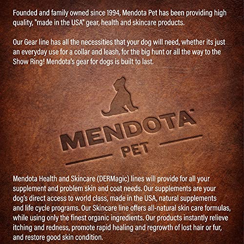 Mendota Pet Slip Leash - Dog Lead and Collar Combo - Made in The USA - Black, 3/8 in x 6 ft - for Small/Medium Breeds