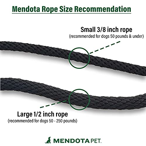 Mendota Pet Slip Leash - Dog Lead and Collar Combo - Made in The USA - Black, 3/8 in x 6 ft - for Small/Medium Breeds