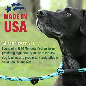 Mendota Pet Slip Leash - Dog Lead and Collar Combo - Made in The USA - Black, 3/8 in x 6 ft - for Small/Medium Breeds