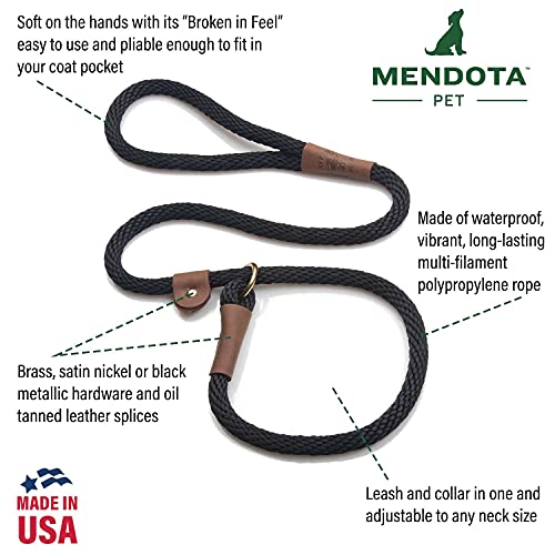 Mendota Pet Slip Leash - Dog Lead and Collar Combo - Made in The USA - Black, 3/8 in x 6 ft - for Small/Medium Breeds