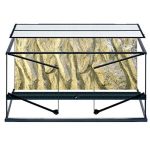 exo terra allglass terrarium - 36 x 18 x 18 inches