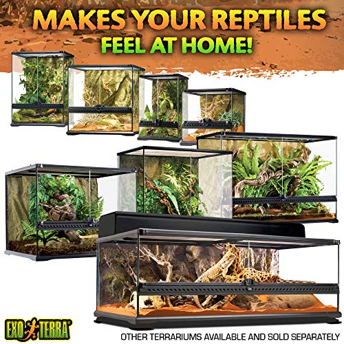 Exo Terra AllGlass Terrarium - 36 x 18 x 18 Inches