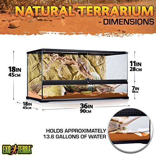 Exo Terra AllGlass Terrarium - 36 x 18 x 18 Inches