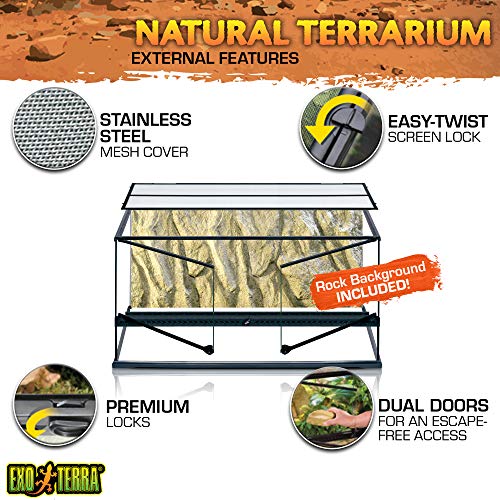 Exo Terra AllGlass Terrarium - 36 x 18 x 18 Inches