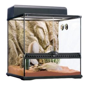 exo terra desert habitat kit, reptile terrarium starter kit, medium, pt2652a1