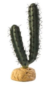 exo terra finger cactus terrarium plant