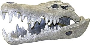 exotic environments nile crocodile skull aquarium ornament, small, 3-inch by 6-inch by 2-1/2-inch