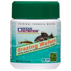 ocean nutrition grazing wafers 5.3-ounces (150 grams) jar