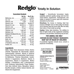 Farnam Redglo Liquid Multi-Vitamin Supplement for Horses, 1 gallon