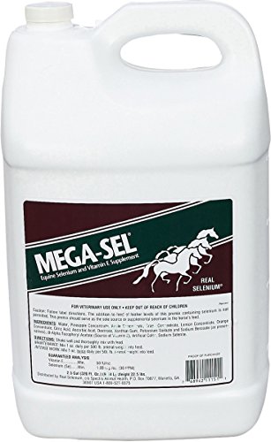 Spectra Animal Health Div 599840 Mega-Sel Liquid Formula for Horses, 2.5 Gallon