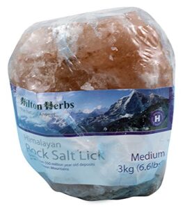 039036 himalayan salt lick for horses pink, medium