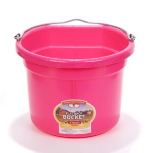 Little Giant Plastic Animal Feed Bucket (Hot Pink) Flat Back Plastic Feed Bucket with Metal Handle (8 Quarts / 2 Gallons) (Item No. P8FBHOTPINK)