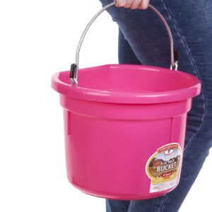 Little Giant Plastic Animal Feed Bucket (Hot Pink) Flat Back Plastic Feed Bucket with Metal Handle (8 Quarts / 2 Gallons) (Item No. P8FBHOTPINK)