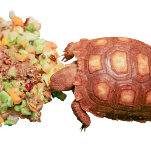 Healthy Herp Tortoise Food Instant Meal 7.7-Ounce (220 Grams) Jar