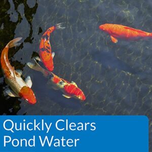 API POND ACCU-CLEAR Pond Water Clarifier 32-Ounce Bottle