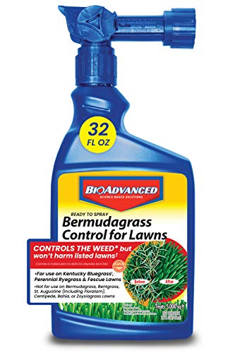 BioAdvanced Bermudagrass Control for Lawns, Ready-to-Spray, 32 oz