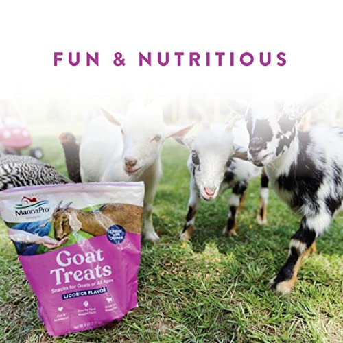 Manna Pro Goat Treats - Made with Oatmeal – Daily Goat Treats - Licorice Flavor – 6 Pounds of Goat Treats