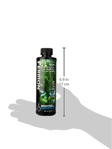 Brightwell Aquatics Ferrion - Concentrated Iron Supplement for Marine Fish and Reef Aquariums 250-ml