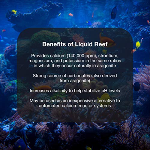 Brightwell Aquatics Liquid Reef - Concentrated Reef Builder for Coralline Algae, Corals, Clams & Other Marine Invertebrates, 500-ml