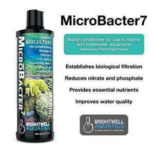 Brightwell Aquatics MicroBacter7 - Bacteria & Water Conditioner for Fish Tank or Aquarium, Populates Biological Filter Media for Saltwater and Freshwater Fish, 500ml