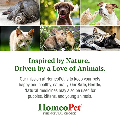 HomeoPet Joint Stress, Joint-Function Support for Dogs, Cats, and Pets, 15 Milliliters