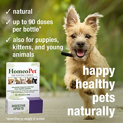 HomeoPet Digestive Upsets Natural Pet Digestive Support, Supports Temporary Relief from Digestive Problems, 15 Milliliters