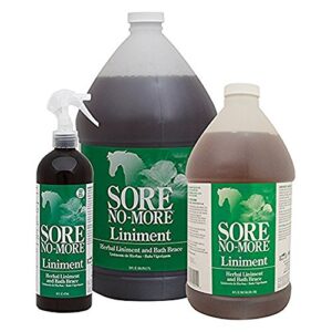 sore no more liniment bottle with sprayer (16-ounce)