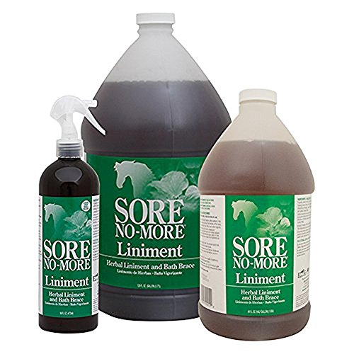 Sore No More Liniment Bottle with Sprayer (16-Ounce)