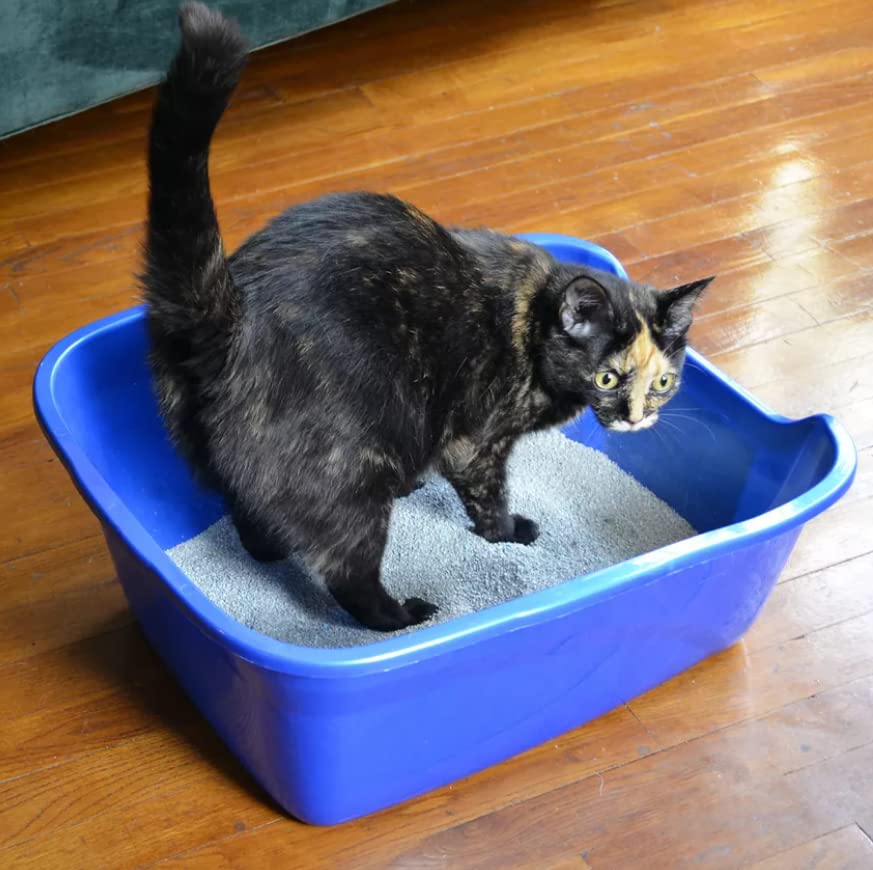 Van Ness Pets Large Open High Sided Cat Litter Box, Blue, CP2HS