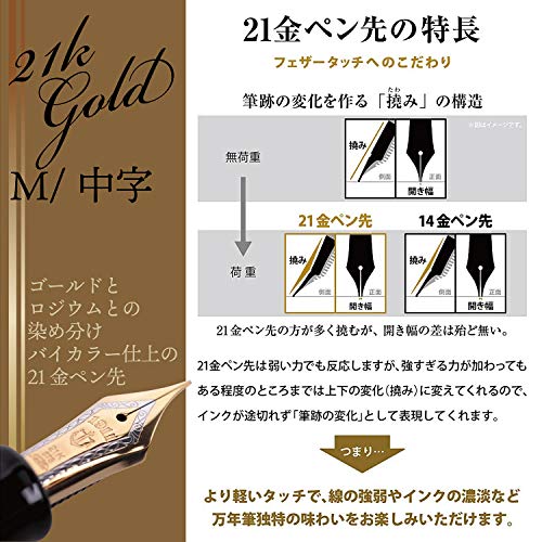 Sailor Fountain Pen Professional Gear Gold 112036420 Middle Point