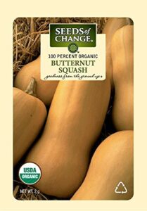 seeds of change 1069 butternut squash, yellow