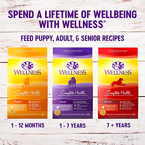 Wellness Complete Health Large Breed Dry Dog Puppy Food with Grains, Natural Ingredients, Made in USA with Real Meat (Puppy, Chicken, Salmon & Rice, 30-Pound Bag)