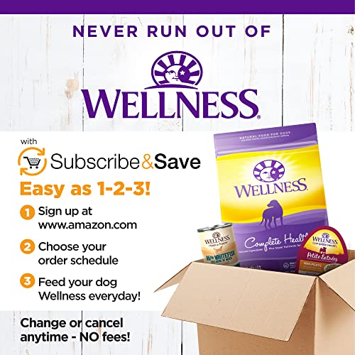 Wellness Complete Health Large Breed Dry Dog Puppy Food with Grains, Natural Ingredients, Made in USA with Real Meat (Puppy, Chicken, Salmon & Rice, 30-Pound Bag)