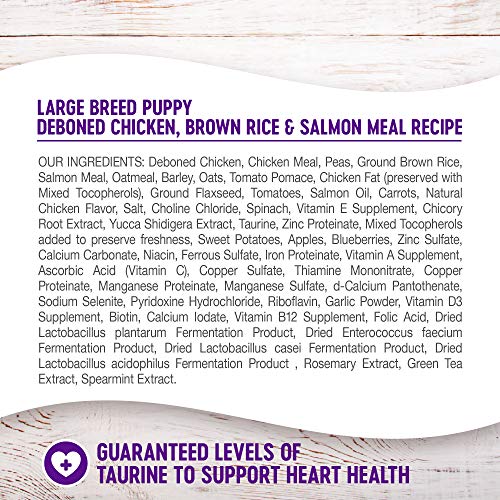 Wellness Complete Health Large Breed Dry Dog Puppy Food with Grains, Natural Ingredients, Made in USA with Real Meat (Puppy, Chicken, Salmon & Rice, 30-Pound Bag)