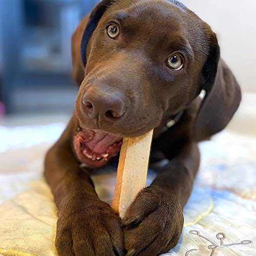 Himalayan Dog Chew Original Yak Cheese Dog Chews, 100% Natural, Long Lasting, Gluten Free, Healthy & Safe Dog Treats, Lactose & Grain Free, Protein Rich, Mixed Sizes, Dogs 55 Lbs & Smaller, 3.3 oz