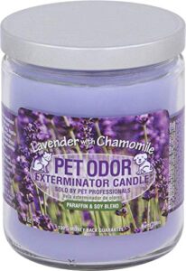 pet odor exterminator jar candle - lavender with chamomile