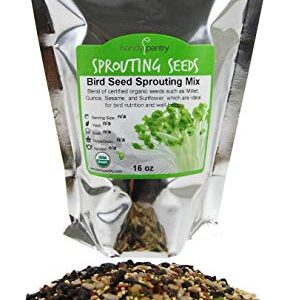 Handy Pantry Organic Birdseed - 1 Lb - Sprouting Bird Seed Mix for Small, Medium & Large Birds- Feed for Songbirds, Parakeets, Parrots, etc