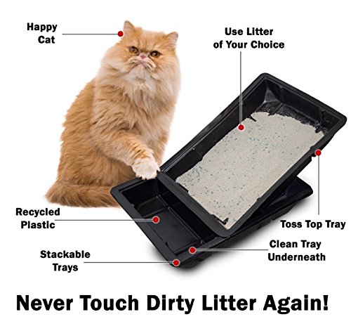 Kitty Lounge Disposable Litter Tray, Black, 50-Pack- Argee RG606/50, Black