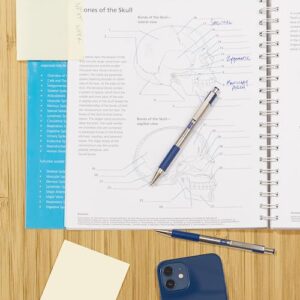 Zebra Pen F-301 Retractable Ballpoint Pen, Stainless Steel Barrel, Fine Point, 0.7mm, Blue Ink, 2-Pack