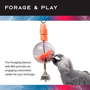 Featherland Paradise | Creative Foraging Systems Hanging Foraging Sphere & Kabob with Stainless Steel Bell, Interactive Bird Treat Toy